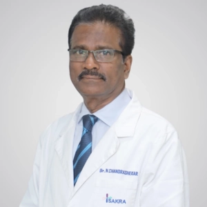 Dr. N Chandrashekar